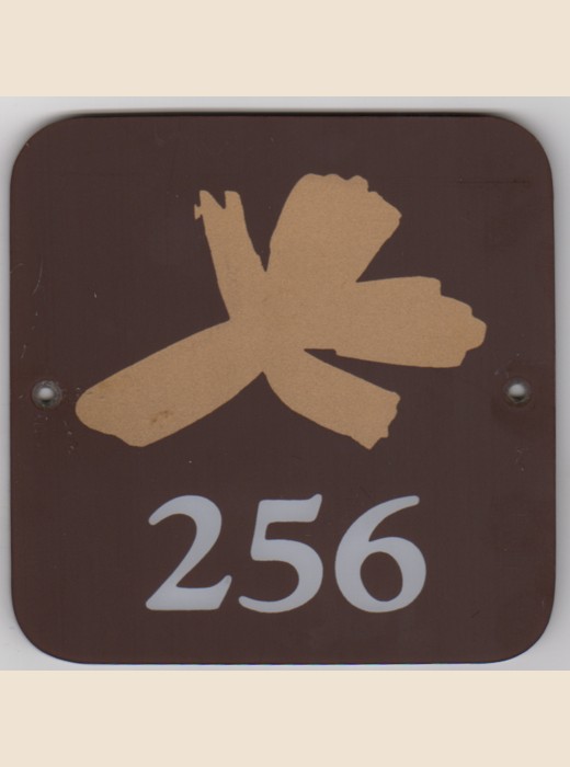 Cover for no-specific-year