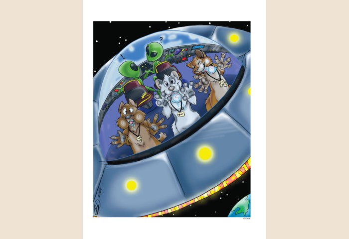 Preview image for AC2009