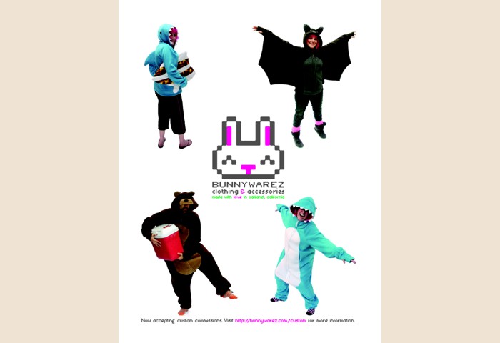 Preview image for AC2011