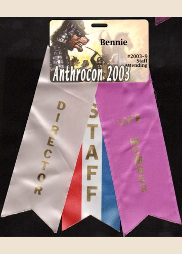 Staff Badge from AC2003