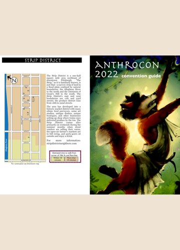 Preview of Convention Guide